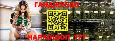 ECSTASY Новозыбков