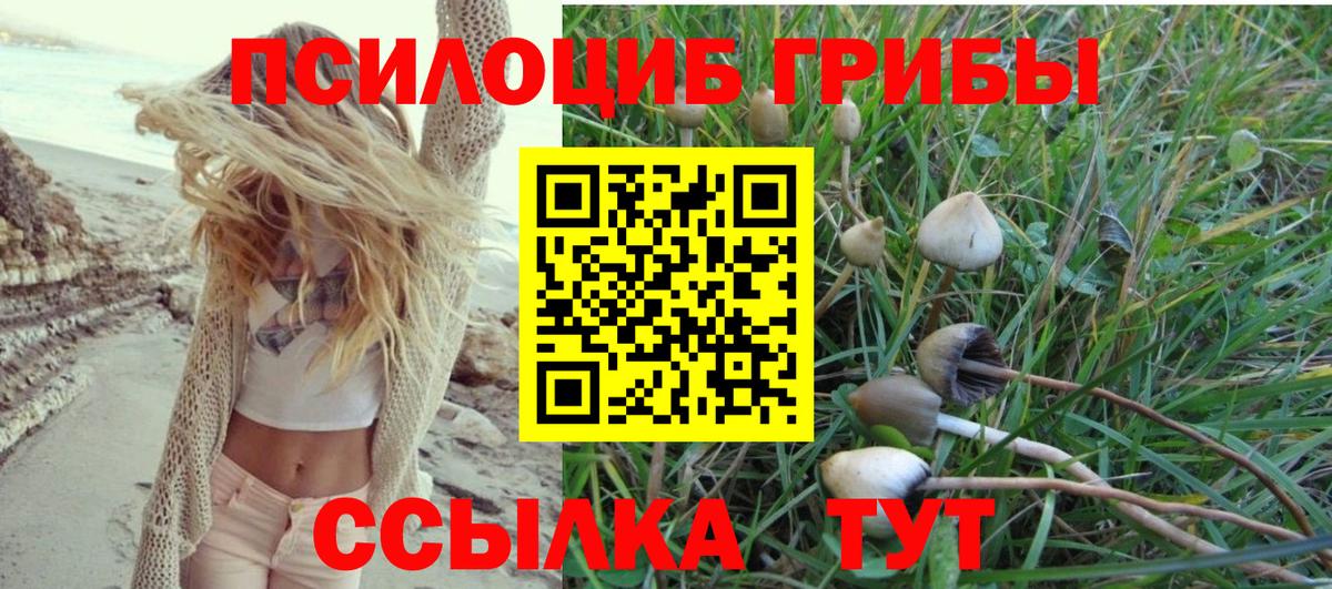 Галлюциногенные грибы MAGIC MUSHROOMS  Вход с VPN  Сафоново 